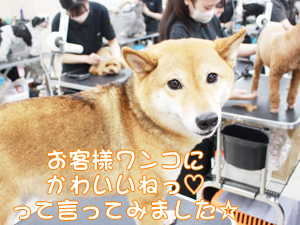 かわいいねって言ってみました☆